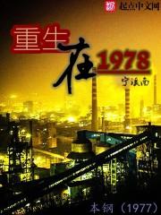 重生在70年代的官场