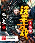 铁掌无敌王小军epub