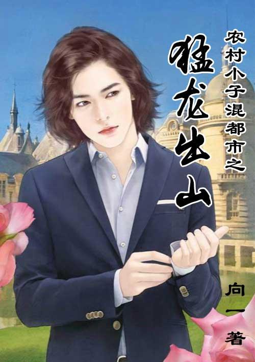 小农民混都市陈猛