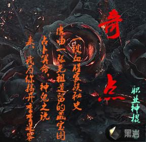 奇点偶点什么意思