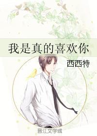 我是真的喜欢你完整版