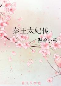 秦王太妃传 温柔小意