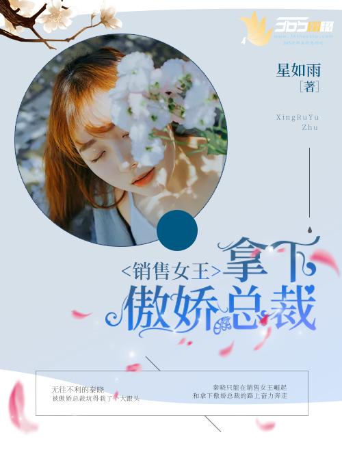 销售女王的销售秘密简介