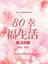 重生80幸福生活何婉清