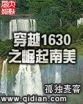 穿越1630之崛起南美百科