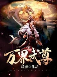 万界武尊叶枫