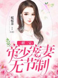 一婚二宝帝少宠妻无节制有声