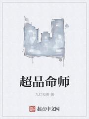 超品命师后续