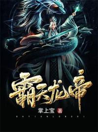 霸天龙帝 掌上宝