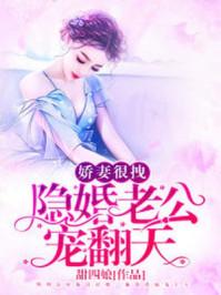 甜蜜婚宠总裁老公撩上瘾