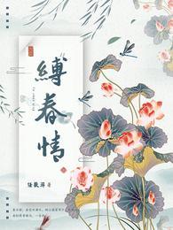 宋挽江行简最后怎么样了