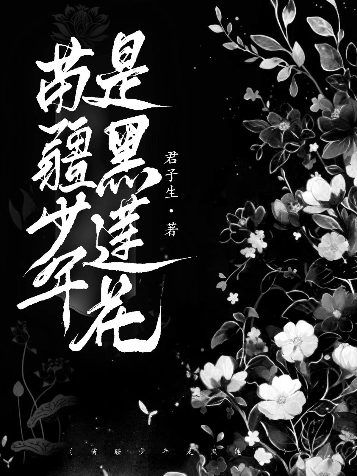 苗疆少年是黑莲花完整版