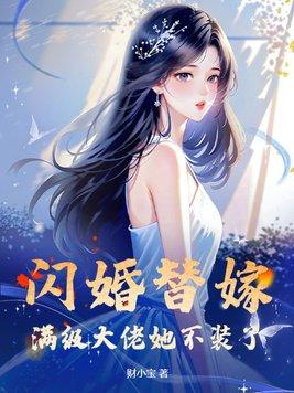 闪婚大佬甜宠