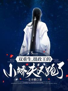 女尊摄政王宠夫