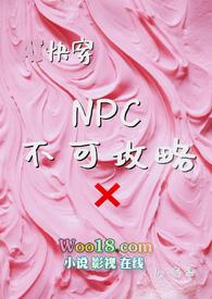 NPC不可攻略np