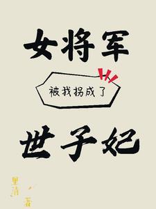 女将军入宫为妃子的