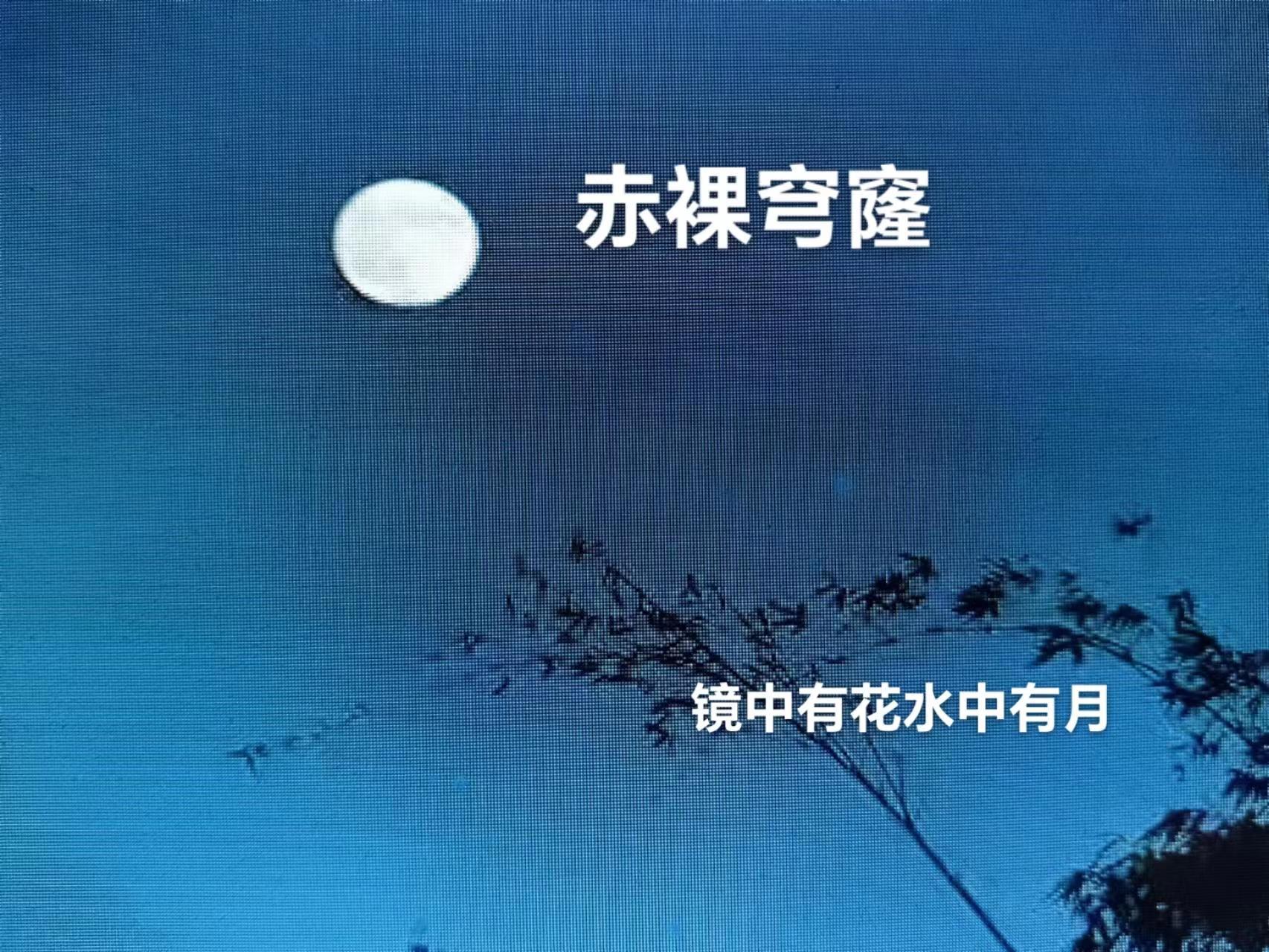 赤裸 是什么意思