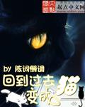 回到过去变成猫后续篇