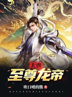 大唐至尊龙帝杨辰完整版