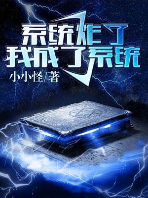 系统炸了我成了系统无弹窗