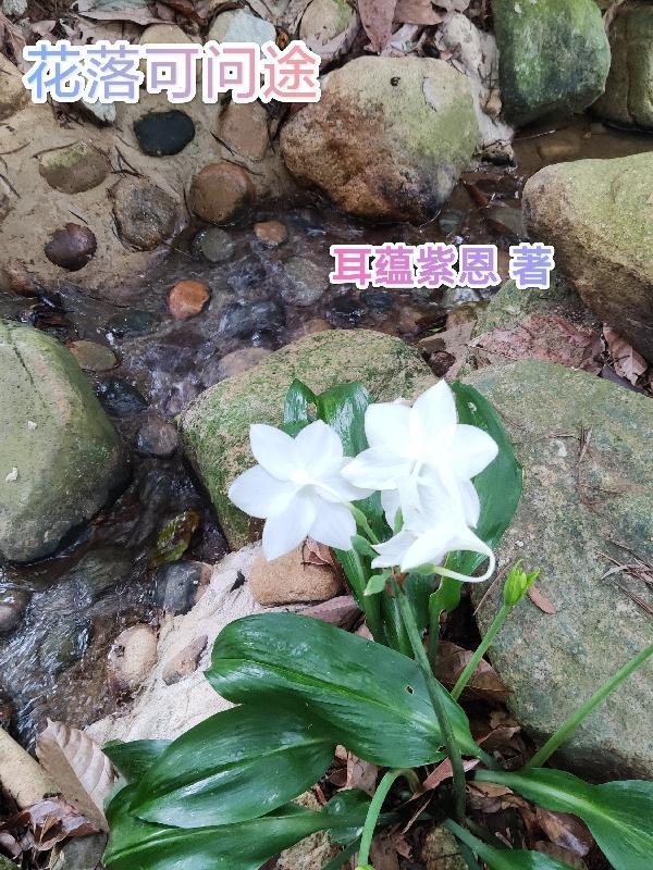 花落半干途