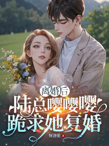 离婚后 陆少追妻火葬场