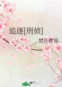 追逐刑侦焚花煮锦txt