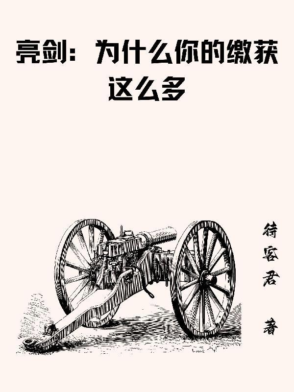 亮剑为什么成功