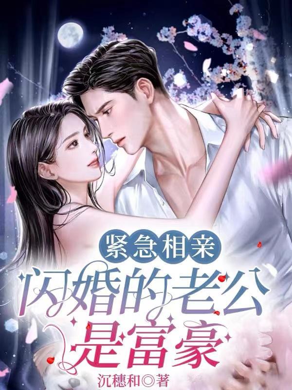 闪婚相亲文