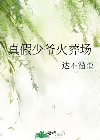 真假少爷火葬场TXT最新章节