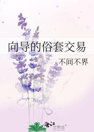 向导的俗套交易免费阅读