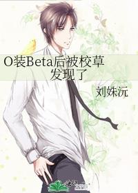 装o之后我被beta拱了by盖姐