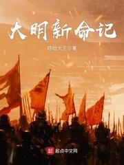 大明新皇全文阅读全文