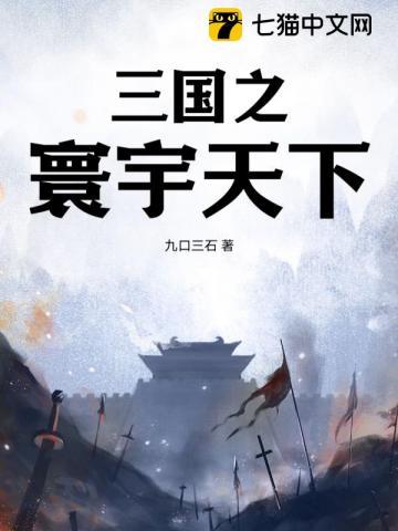 三国之天下我主