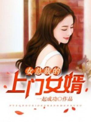 女总裁的上门女婿阅读版