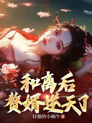 赘婿男女主和离